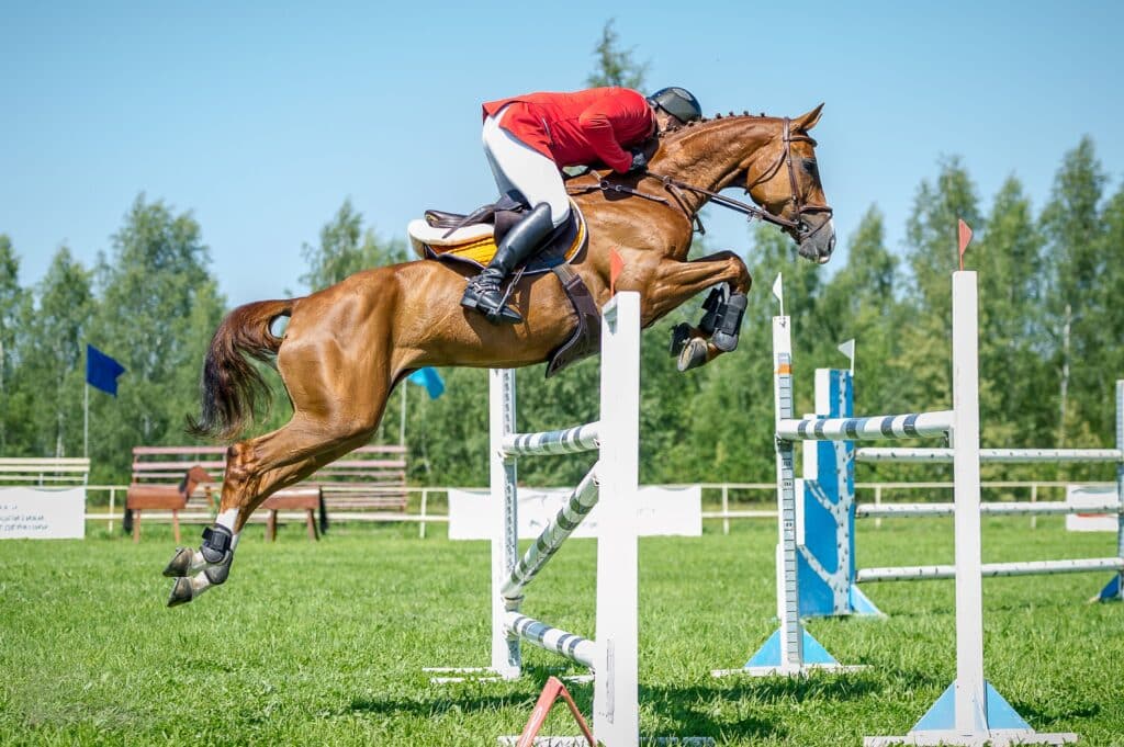 Hunter jumper horse and rider clearing a jump during a competition