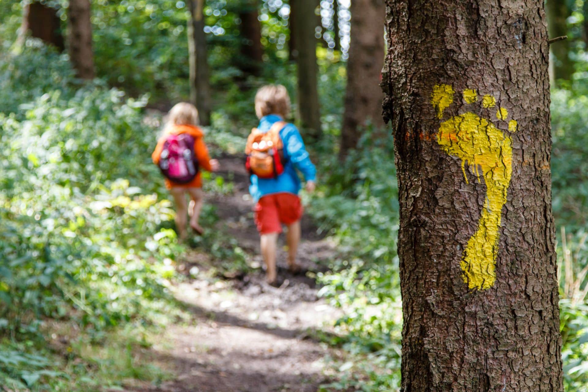 Zwei Kinder mit Rucksäcken auf einem Waldpfad, markiert mit einem gelben Fußabdruck – ideales Naturerlebnis nahe einem Pavillon.